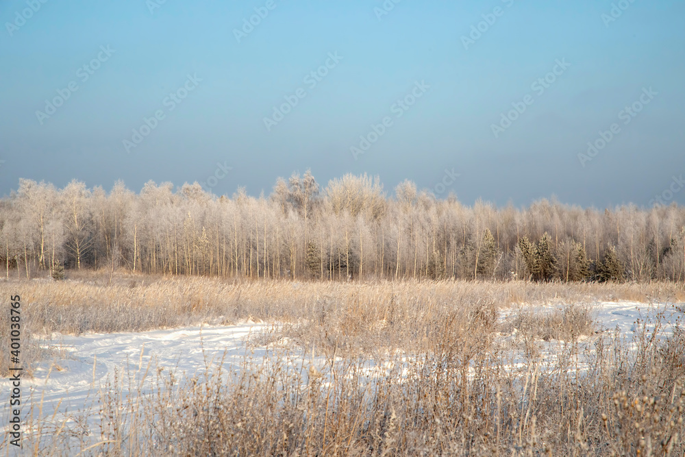 Winter landscape with trees covered with hoarfrost Winter landscape with trees covered with hoarfrost