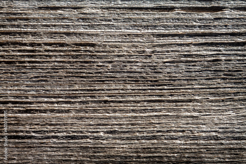Natural wood background. Detailed graphic resource