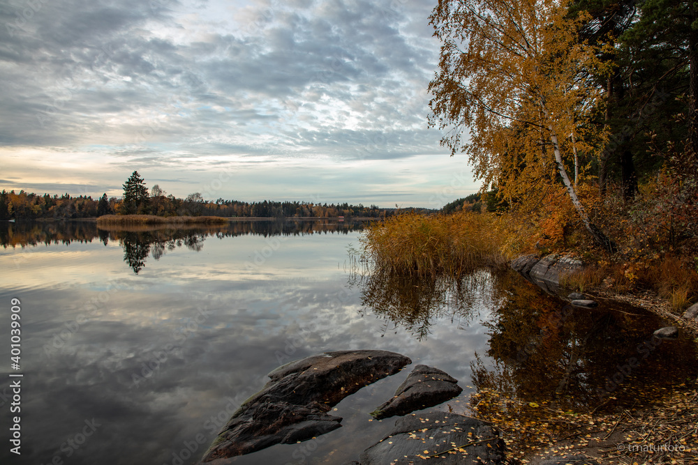 lake in autumn