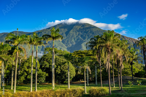 View of Avila mountain at morning from Parque del Este