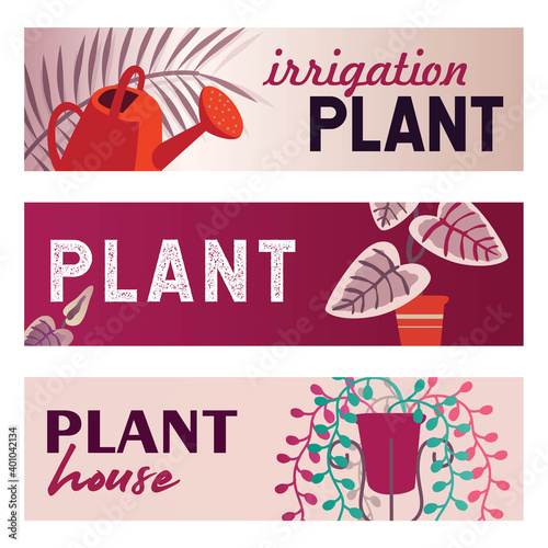 Home plants banners set. Peace Lily  palm leaf  watering pot vector illustrations with text. Flora and gardening concept for flyers and brochures design