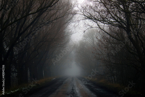 Mystical road. An old asphalt road covered with cracks and patches in the mud with tire marks from cars during heavy fog.