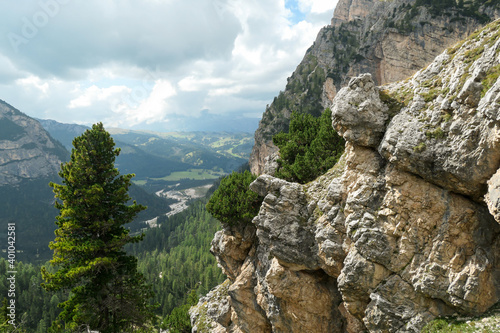 A panoramic view on the valley in high Italian Dolomites. There is a dense forest at the foothill, steep and sharp mountain chain in the back. A massive mountain slope on the side. A bit of overcast