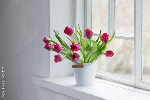 red tulips on old white windowsill