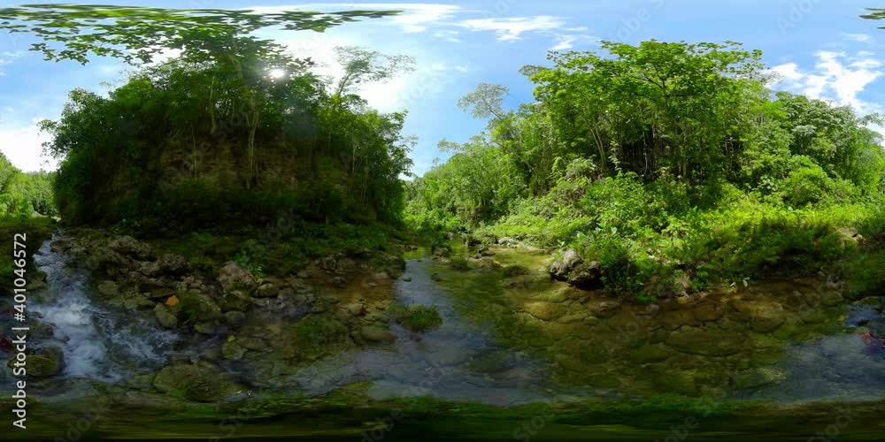 River in a green rainforest. River in the forest, jungle. Philippines, Bohol. 360VR Video. River in a green rainforest. River in the forest, jungle. Philippines, Bohol. 360VR Video.