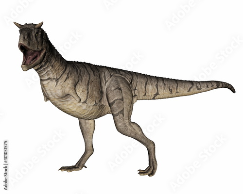 Carnotaurus dinosaur walking and roaring isolated in white background - 3D render