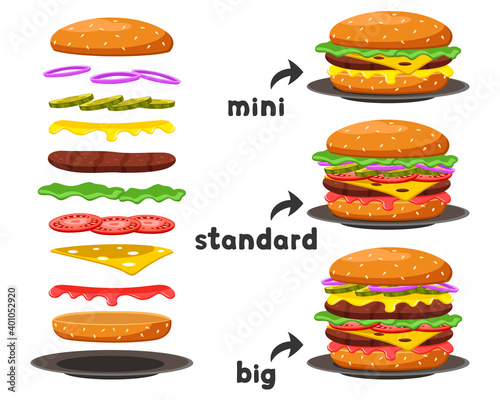 Set of burgers of different sizes and their components on a white background.
