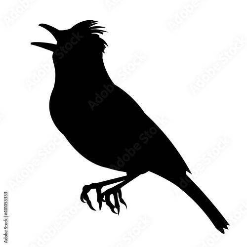 Vector silhouette of a sitting and singing lark