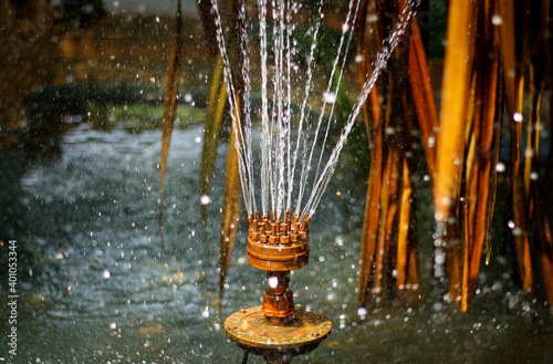 fountain in the park