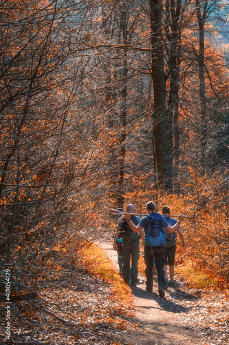 group of hiking people from behind in orange forest