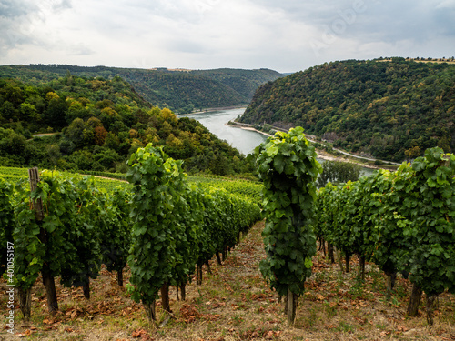 loreley photo