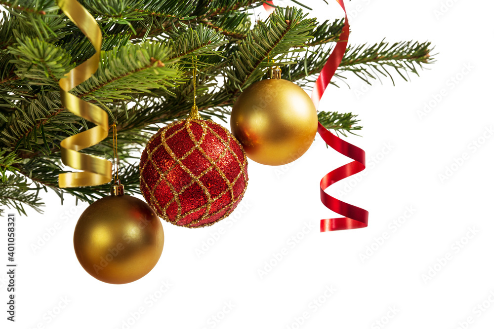 Christmas tree branch isolated