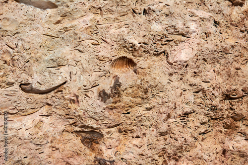 textured background  natural limestone copy space