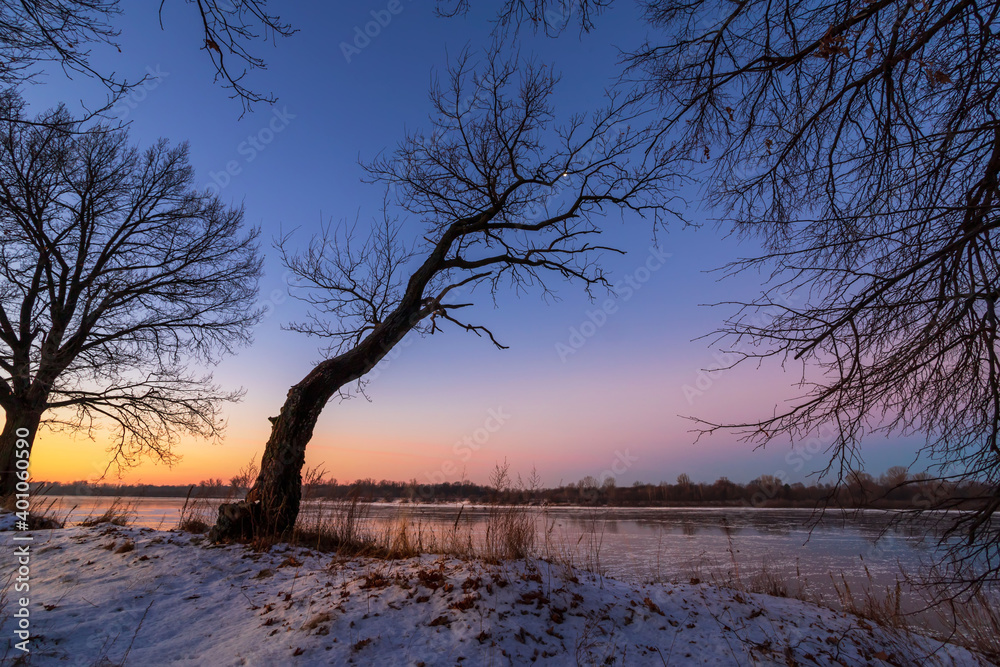 Tree silhouette by the river in the dawn twilight before sunrise in winter cold morning. Tree silhouette by the river in the dawn twilight before sunrise in winter cold morning.