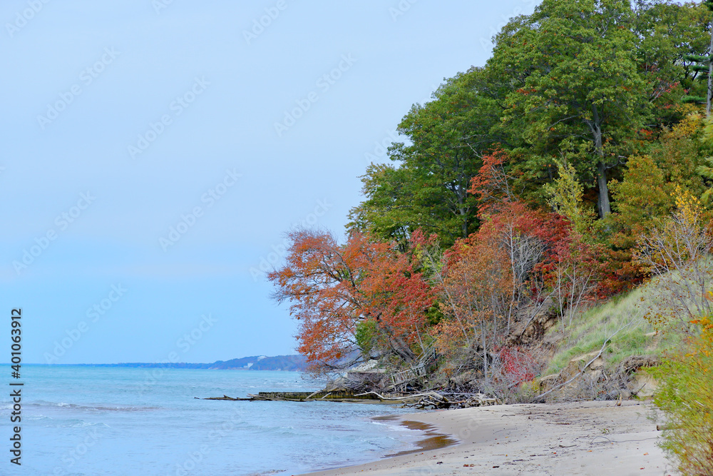 Oak trees along the shore of Lake Michigan Oak trees along the shore of Lake Michigan