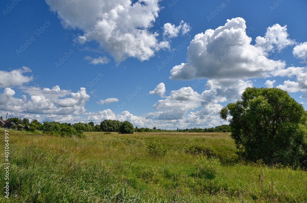 Scenic clouds over a summer meadow/