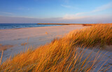 Wydmy na wybrzeżu Morza Bałtyckiego,plaża, trawa,biały piasek,Kołobrzeg,Polska. 