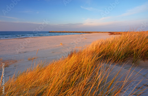 Wydmy na wybrzeżu Morza Bałtyckiego,plaża, trawa,biały piasek,Kołobrzeg,Polska. 