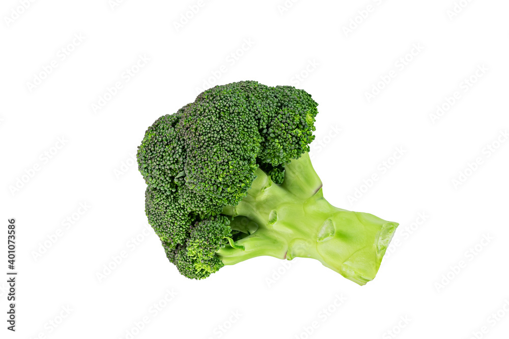 fresh green broccoli vegetable isolated on white background fresh green broccoli vegetable isolated on white background