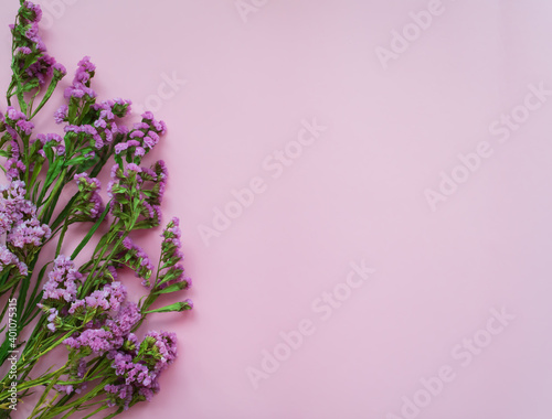 Fototapeta Naklejka Na Ścianę i Meble -  Pink and purple flowers on a pink background