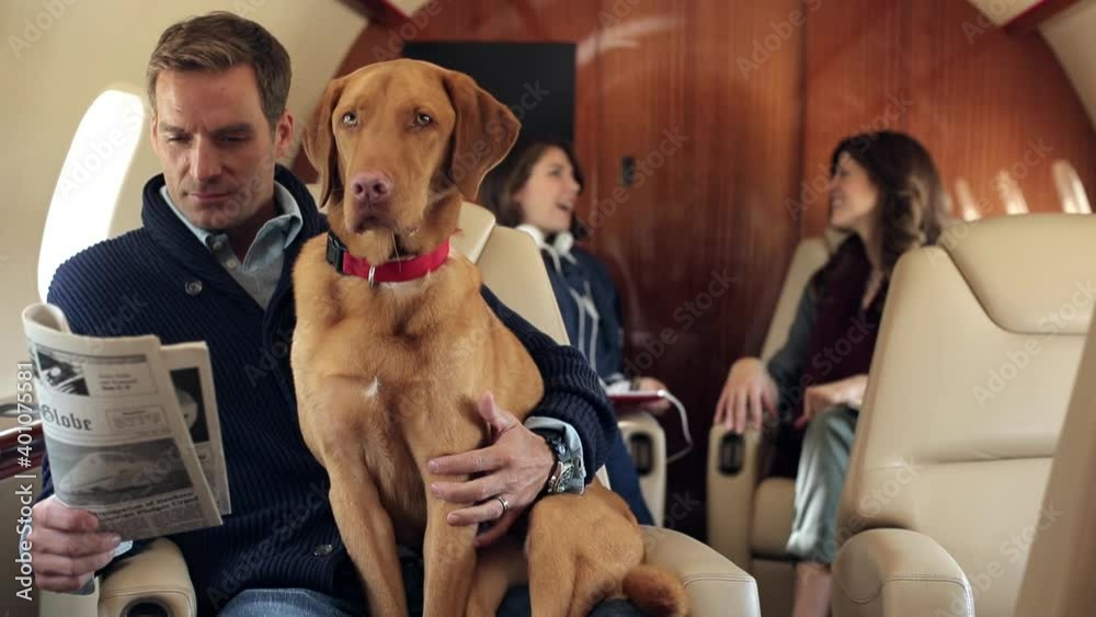 Caucasian man reading newspaper and petting dog on private jet