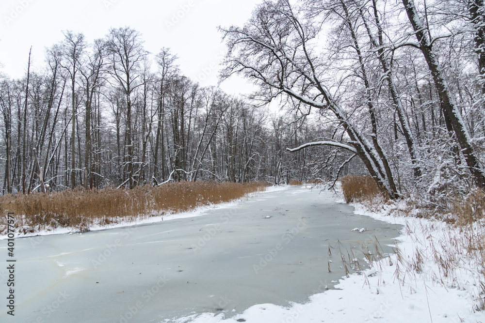 River through frozen forest with snow after snowfall. Winter landscape River through frozen forest with snow after snowfall. Winter landscape