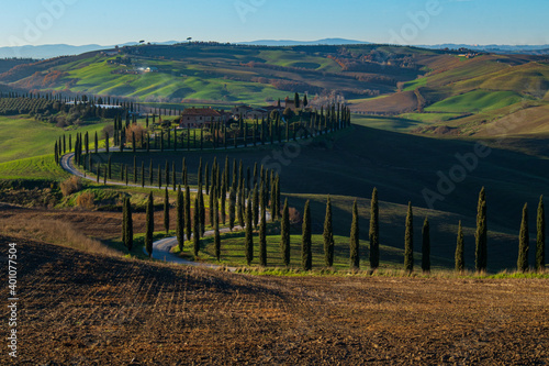 Tipico casolare toscano circondato da cipressi, tra le verdi colline delle crete senesi in giornata soleggiata.
