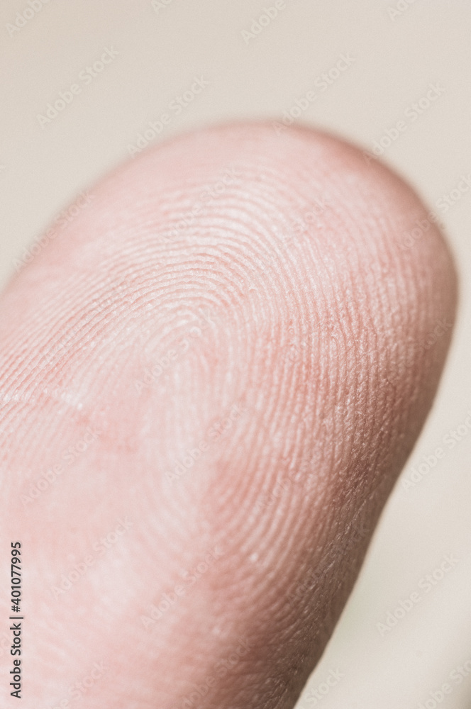 Macro view of a finger print Macro view of a finger print
