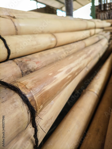 Bamboo as a constructive or decorative element, coating, facade, or roof has proven its superiority over materials such as plastic and steel.