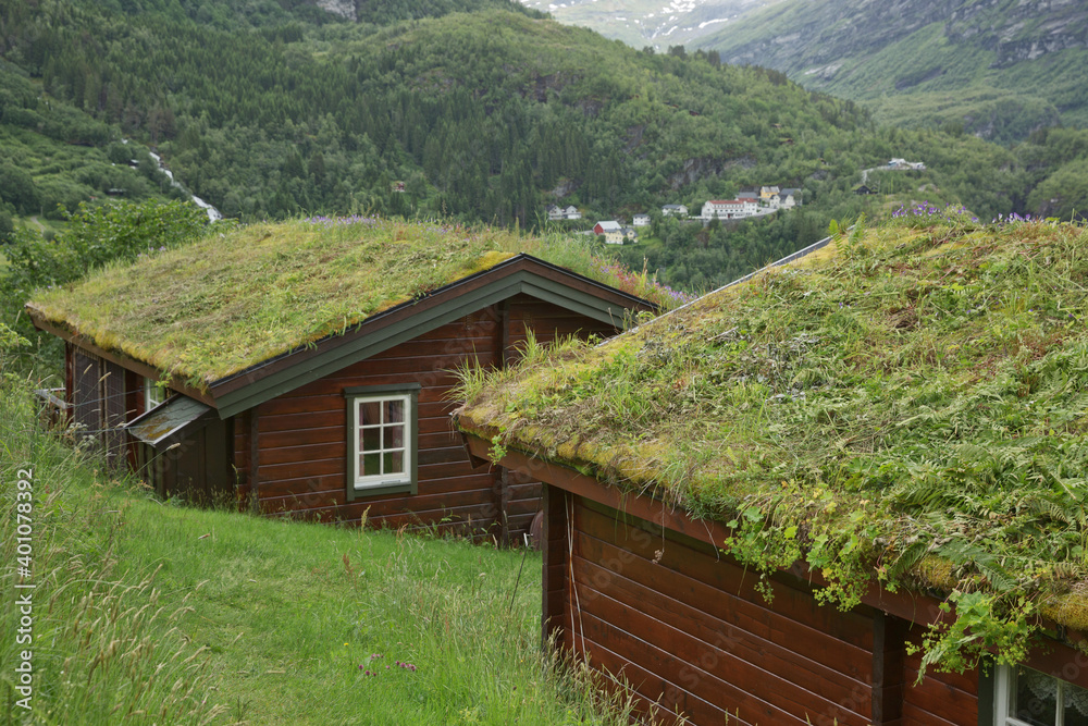 Typical old wood house with grassroof in the fjords of Geiranger in Norway
