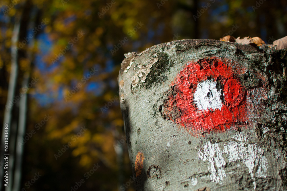 Red trail marker on the tree