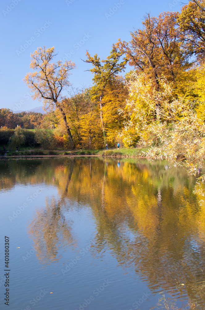 Park in the autumn Park in the autumn