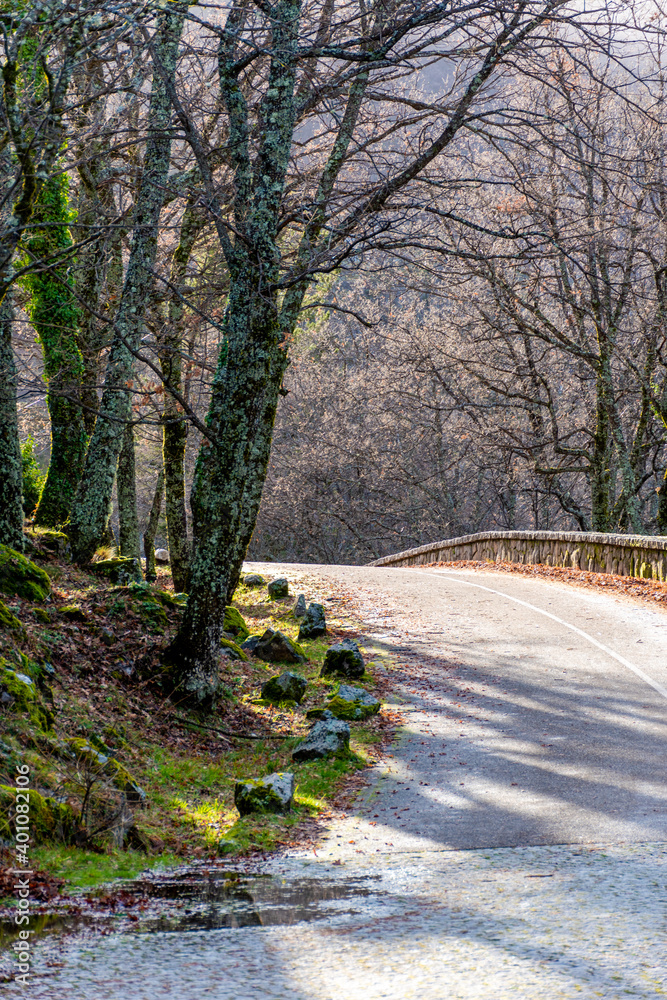 Vertical view of where a stone road ends and a mountain road begins with a bend and forest in a sunset Vertical view of where a stone road ends and a mountain road begins with a bend and forest in a sunset