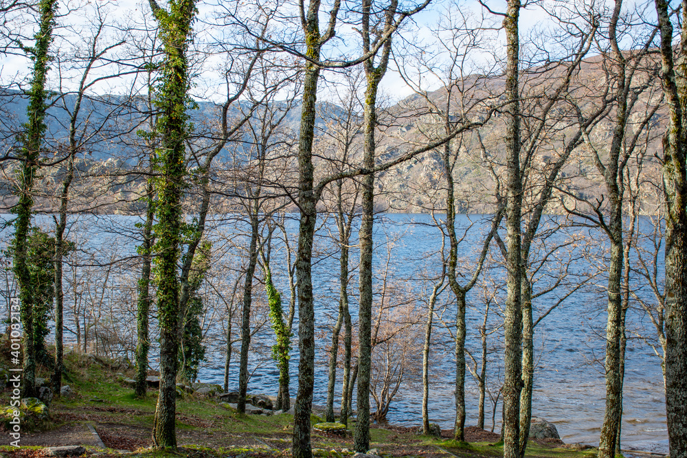 Horizontal view of the lake water through a forest with mountains in the background Horizontal view of the lake water through a forest with mountains in the background