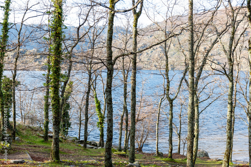 Horizontal view of the lake water through a forest with mountains in the background Horizontal view of the lake water through a forest with mountains in the background