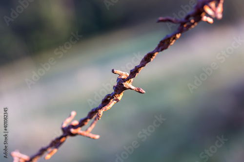 close up of a rusty barbed wire, green background