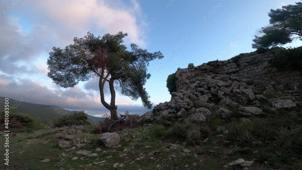 Lone tree blowing in the wind at the top of the ancient Greek (Athenian) stronghold of Erythrae, Mt Parnitha, Attica, Greece