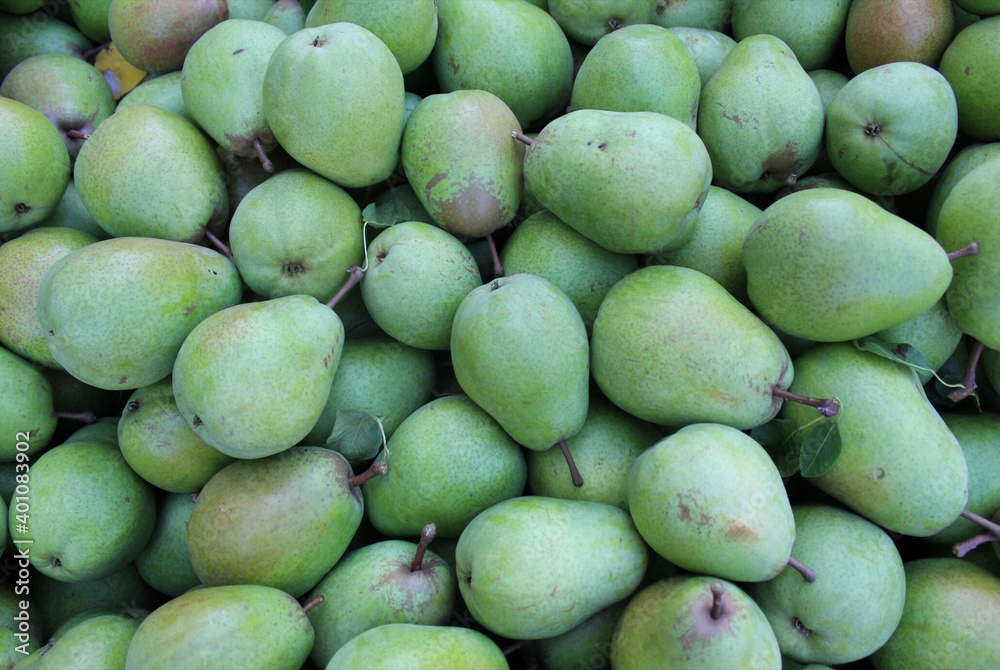 Pears from a plantation Pears from a plantation