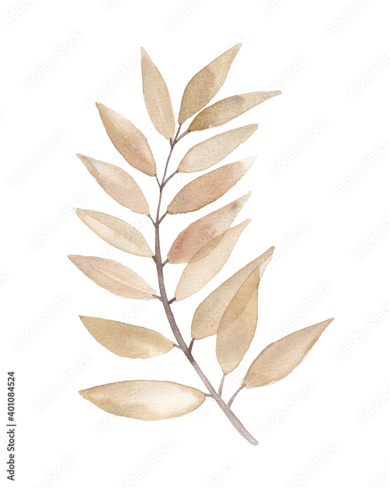 Hand drawn watercolor leaves and branches Hand drawn watercolor leaves and branches