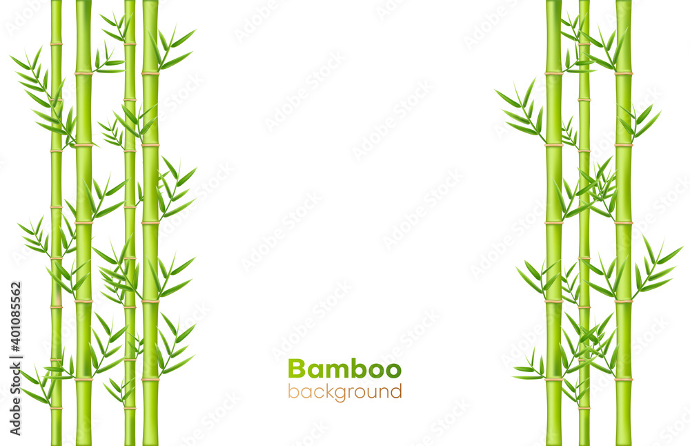 Naklejka premium Bamboo background, exotic garden plants and greenery decor