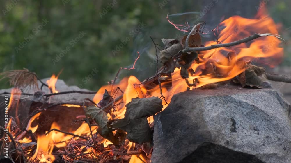 Forest fires, sloppy handling of fire in nature. View of burning tree branches against the background of the forest, slow motion, 4k Forest fires, sloppy handling of fire in nature. View of burning tree branches against the background of the forest, slow motion, 4k
