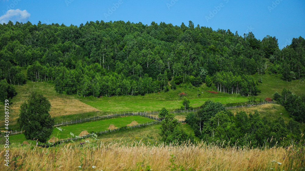Rural gardens at the foot of the forest, on the hills of Cindrel Mountains. The hay has been arranged in haystacks. Carpathia, Romania.