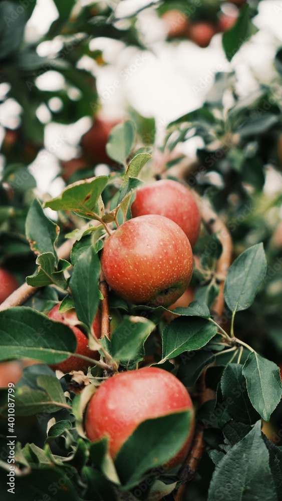 Processed with VSCO with g3 preset