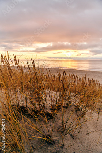 Fototapeta Naklejka Na Ścianę i Meble -  Tall dunes with dune grass and a wide beach below. The shore of the baltic sea. Sunset on the beach in Yantarniy