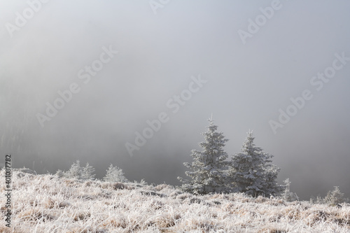 Winter in the Karkonosze Mountains