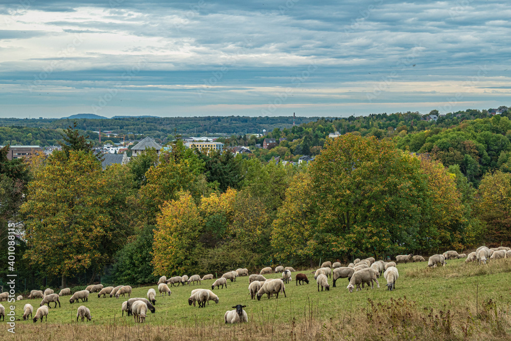 Fototapeta premium Blick vom Hammerberg auf die Kupferstadt Stolberg