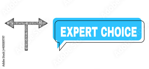 Speech Expert Choice blue cloud frame and network bifurcation arrows left right. Frame and colored area are misplaced to Expert Choice text, which is located inside blue cloud.