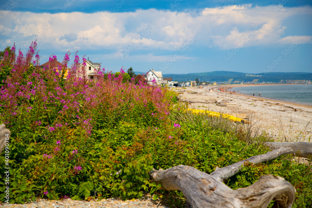 Naklejka premium Beautiful view of Coin-du-Banc beach, Gaspésie, Quebec, Canada.