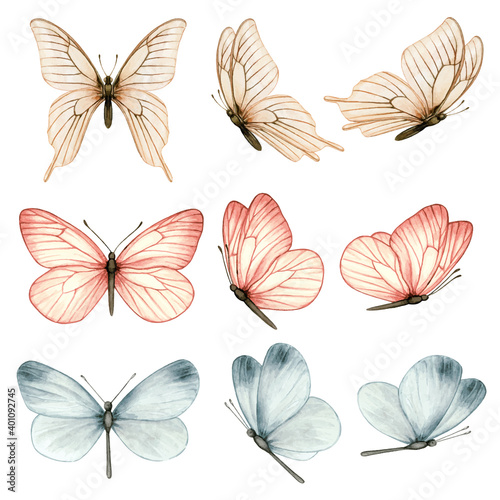 Beautiful watercolor butterfly collection in different positions