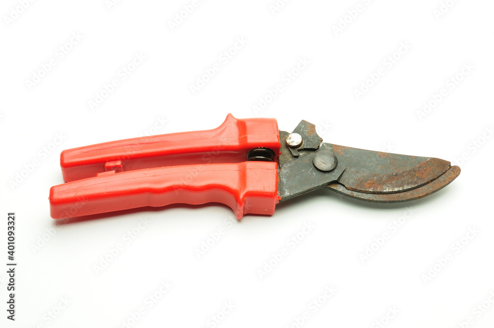 Scissors for pruning tree branches and bushes on a white background Scissors for pruning tree branches and bushes on a white background